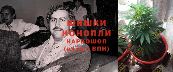 трава Балахна
