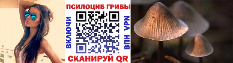 Псилоцибиновые грибы мицелий  Купить закладки  Нурлат 